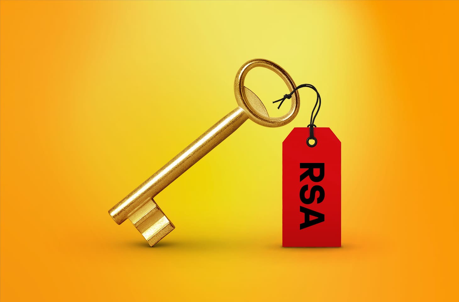 RSA Server